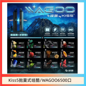 WAGOO哇酷Kiss5 6500口拋棄式 | 自由混搭雙口味 | 雙芯組合