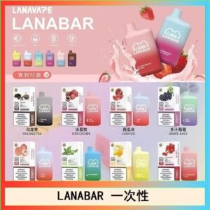 LANA BAR可充电一次性電子煙霧化5000口(3.0%)