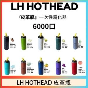 LH HOTHEAD皮革瓶電子煙可充電6000口一次性