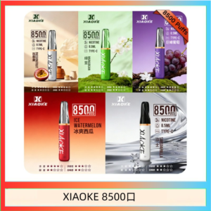 梟客XIAOKE一次性電子菸拋棄式8500口